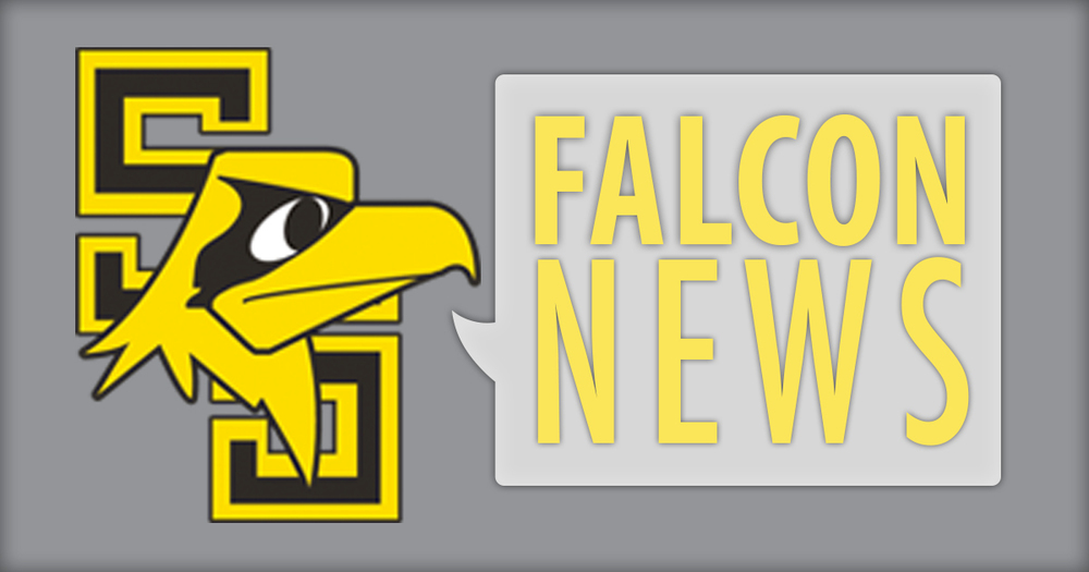 Falcon News Icon