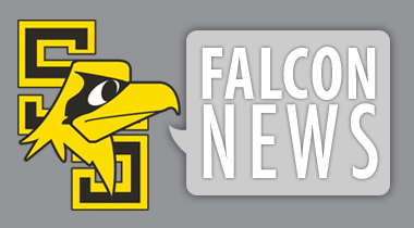 Falcon News Logo