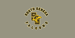 Falcon Gear For Sale
