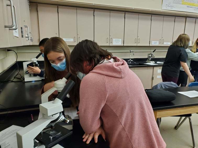 7th grade science class practiced using the microscope.